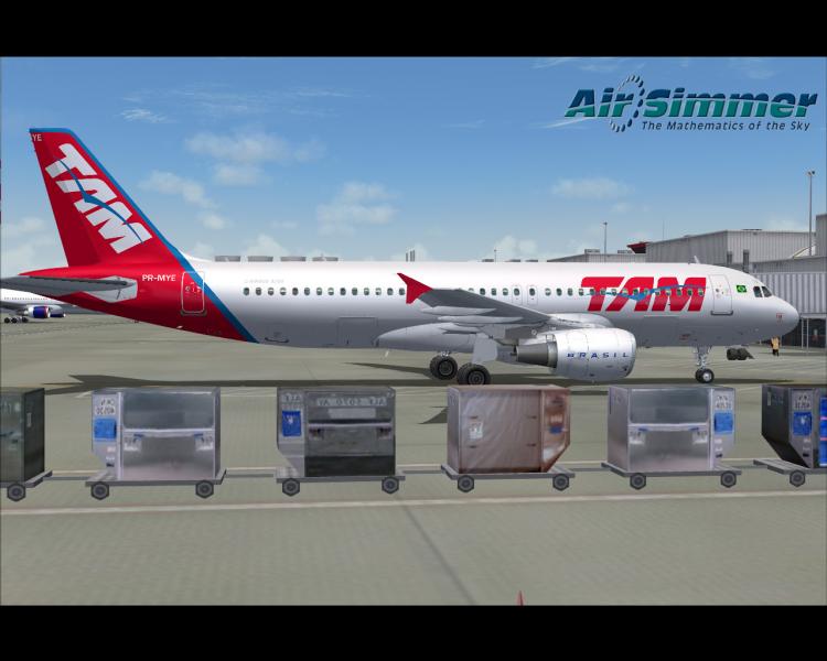 TAM7.jpg